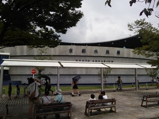 京都水族館 (1).JPG